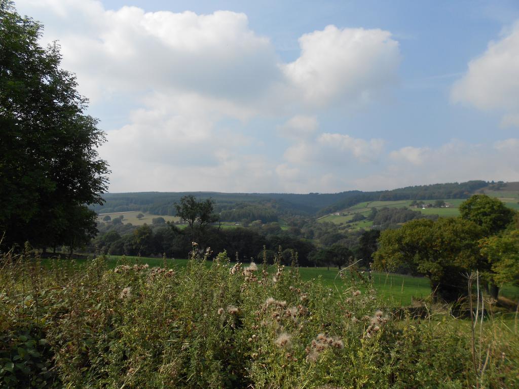 The Shady Oak B&B Whaley Bridge Екстериор снимка