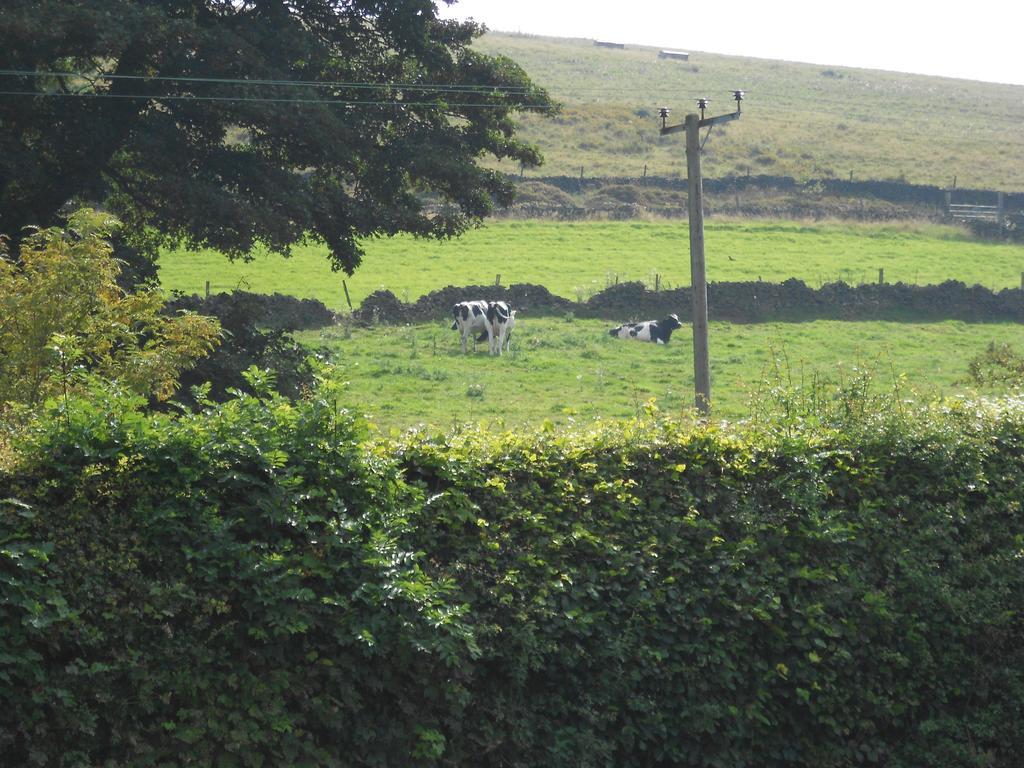 The Shady Oak B&B Whaley Bridge Екстериор снимка